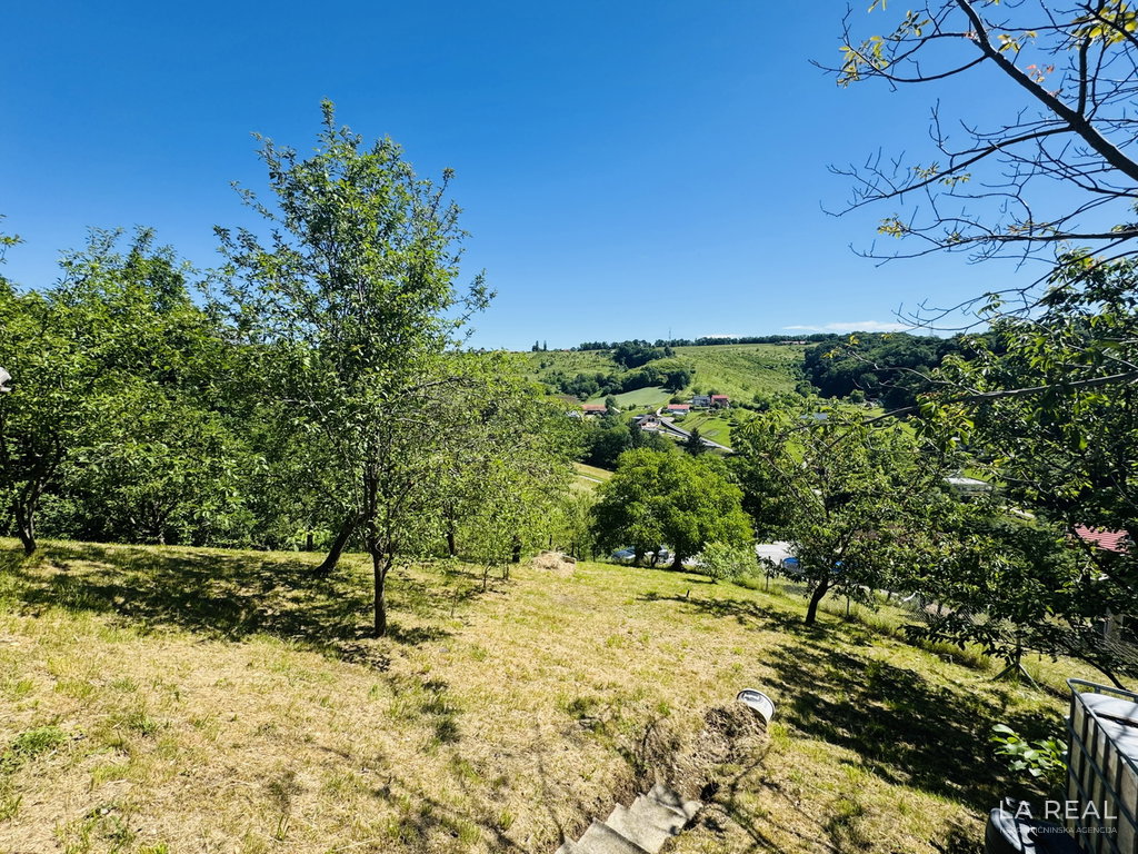 img-5239x4rgfgyy__6aa7e59356eb2