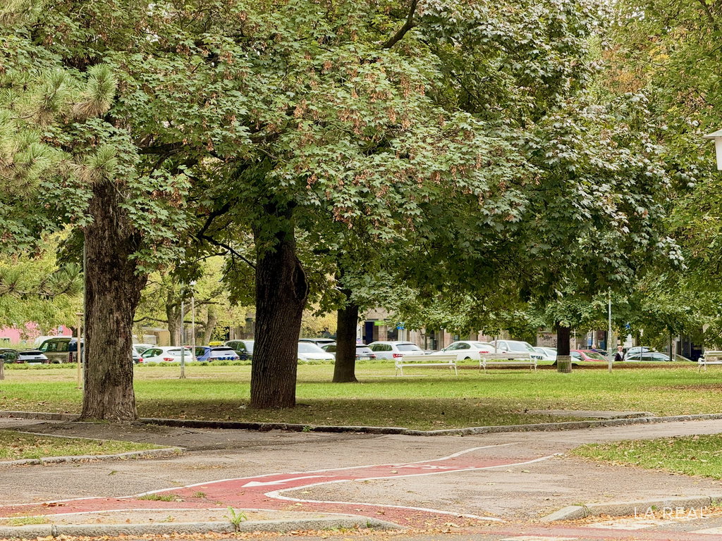 exp-28__04LDGozk-1900x1425